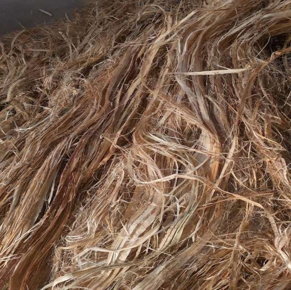 raw long hemp fiber