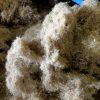 Raw Hemp Carded Fiber processed in Nepal, sourced from wild Himalayan hemp