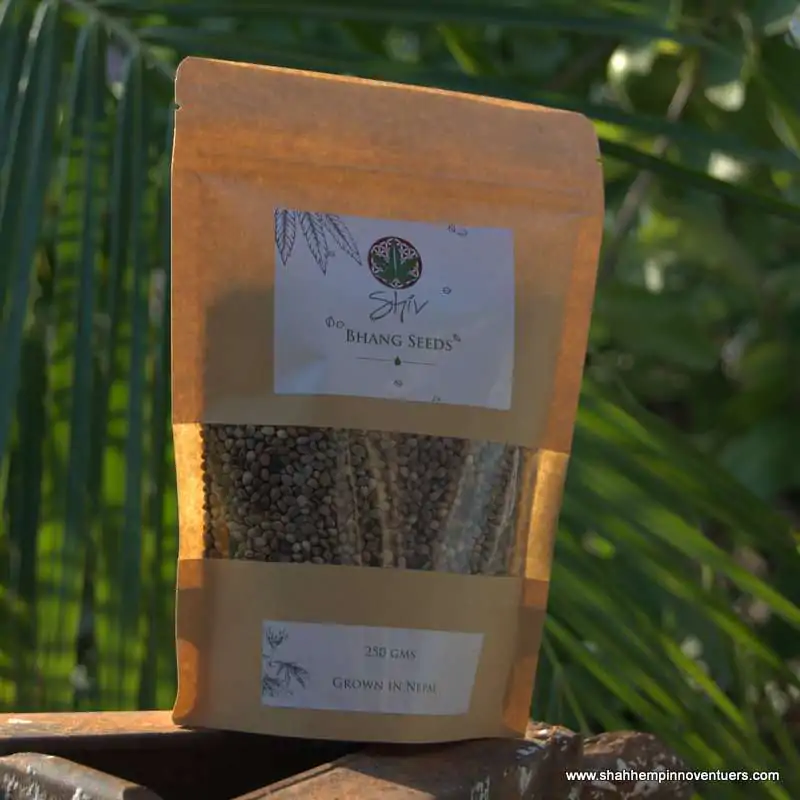 Bhang Seeds/ Hemp Seeds
