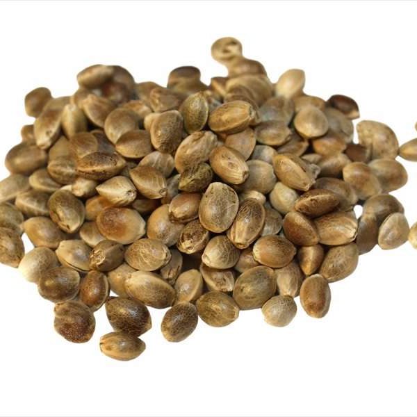 Hemp Seeds