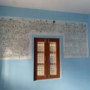 Natural Lime Paint