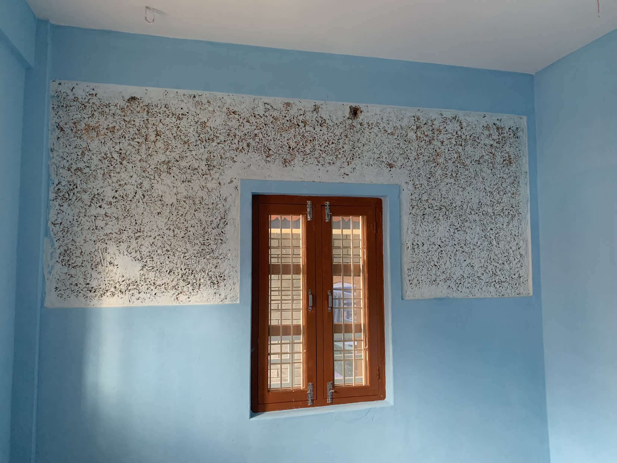 456375498_418965804018546_1733465554532328619_n Natural Lime Paint