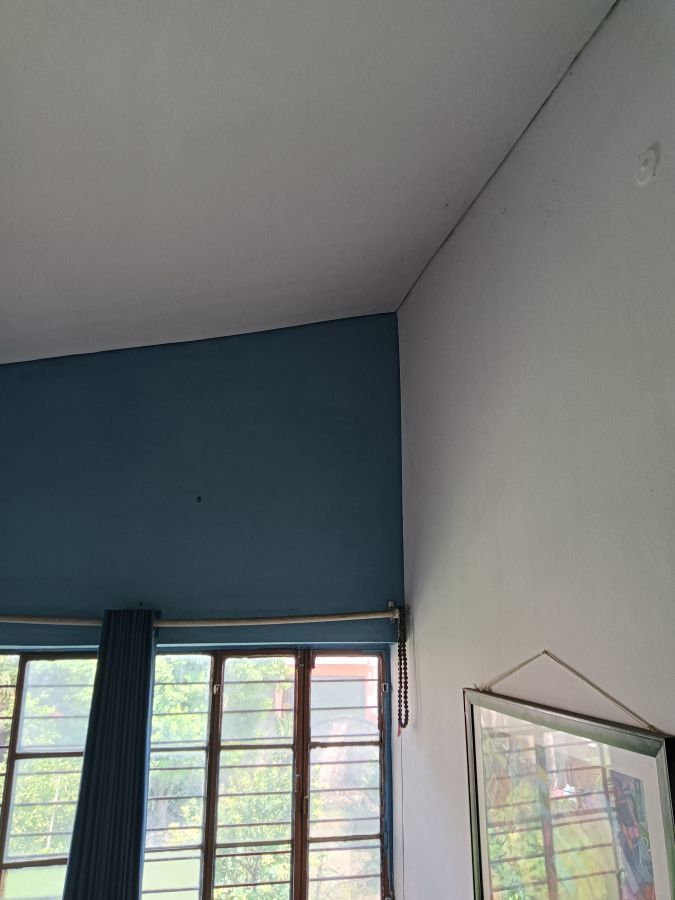 natural paint blue natural paint blue