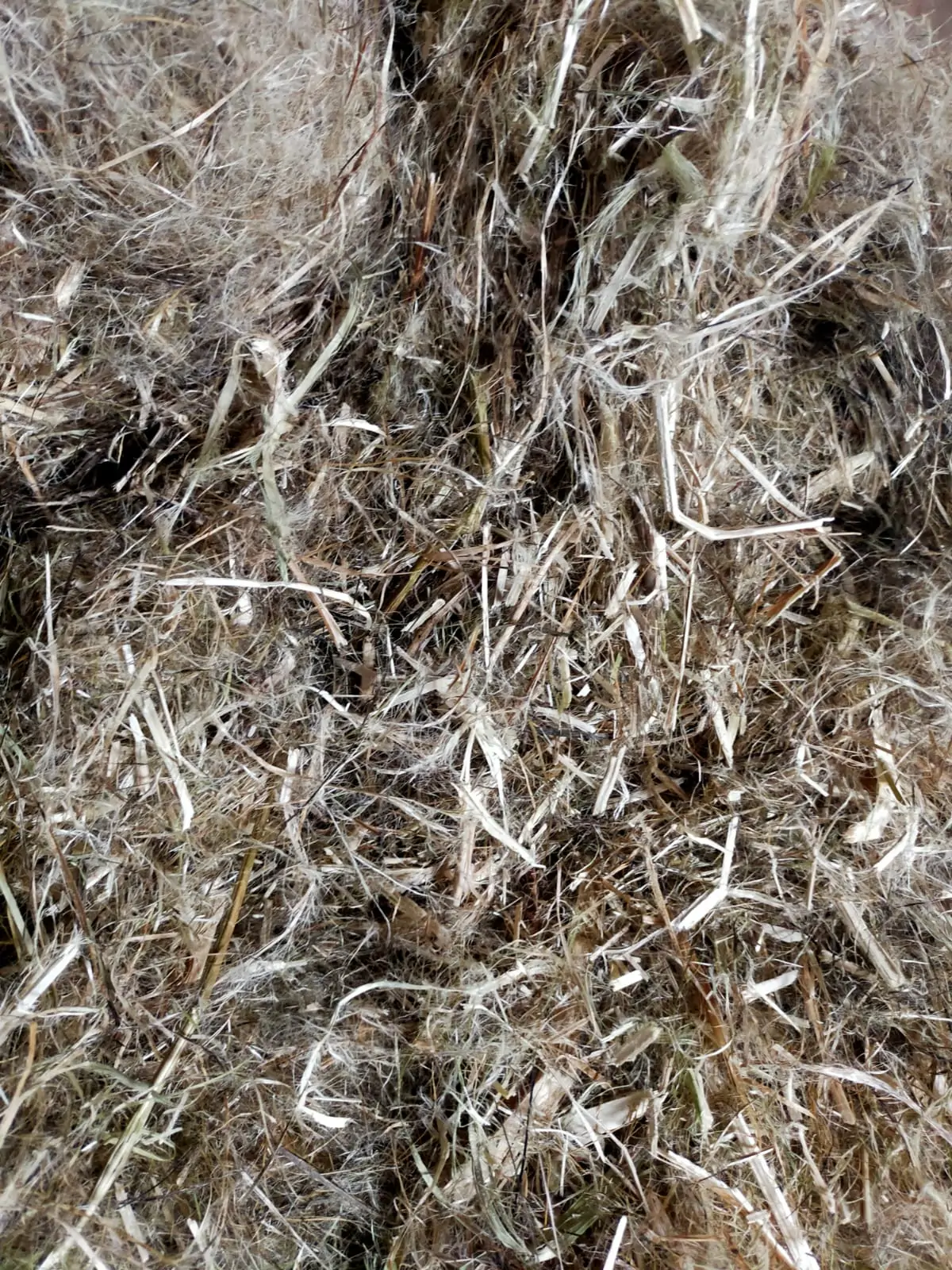 hemp shivs and fiber mix