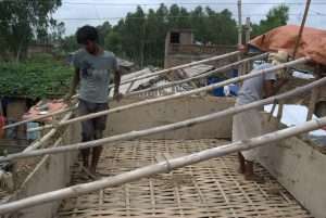 Preparing bamboo framework for tin roof installation.