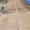 Hempcrete roof casting (top view)