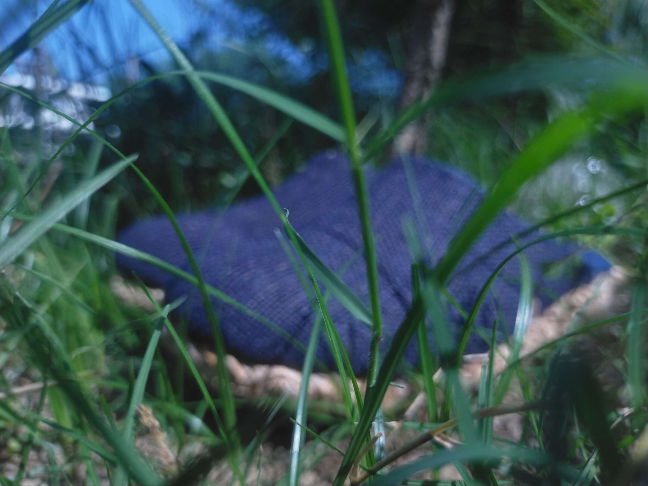 GROUNDING SANDAL SIZE 7