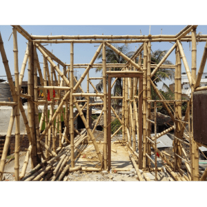 Bamboo Framing